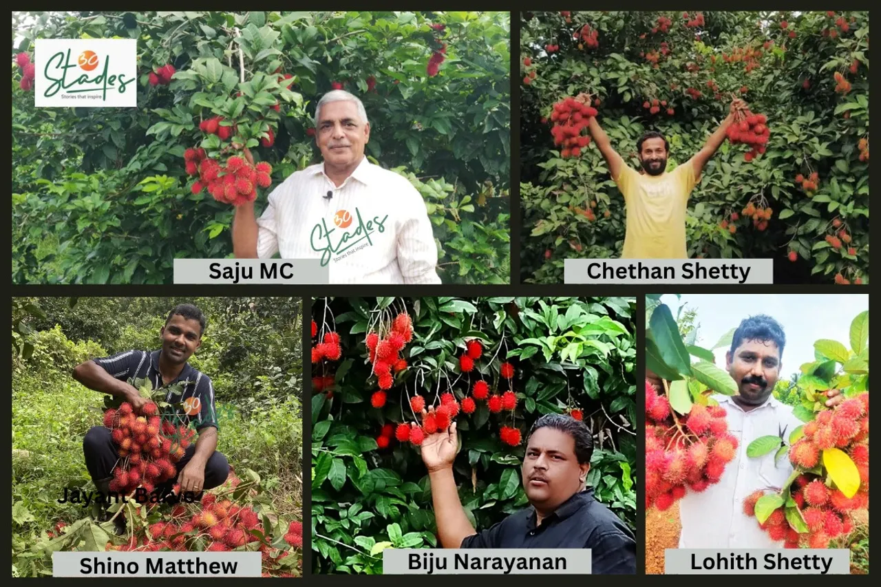 five-rambutan-farmers-profits-30stades