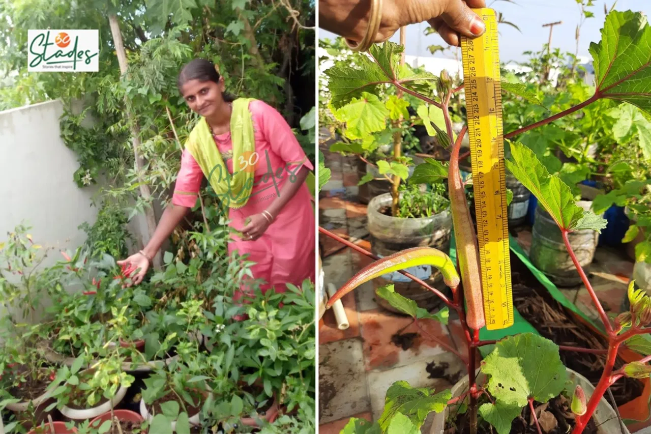 rooftop-gardening-small-space-final-lead-30stades