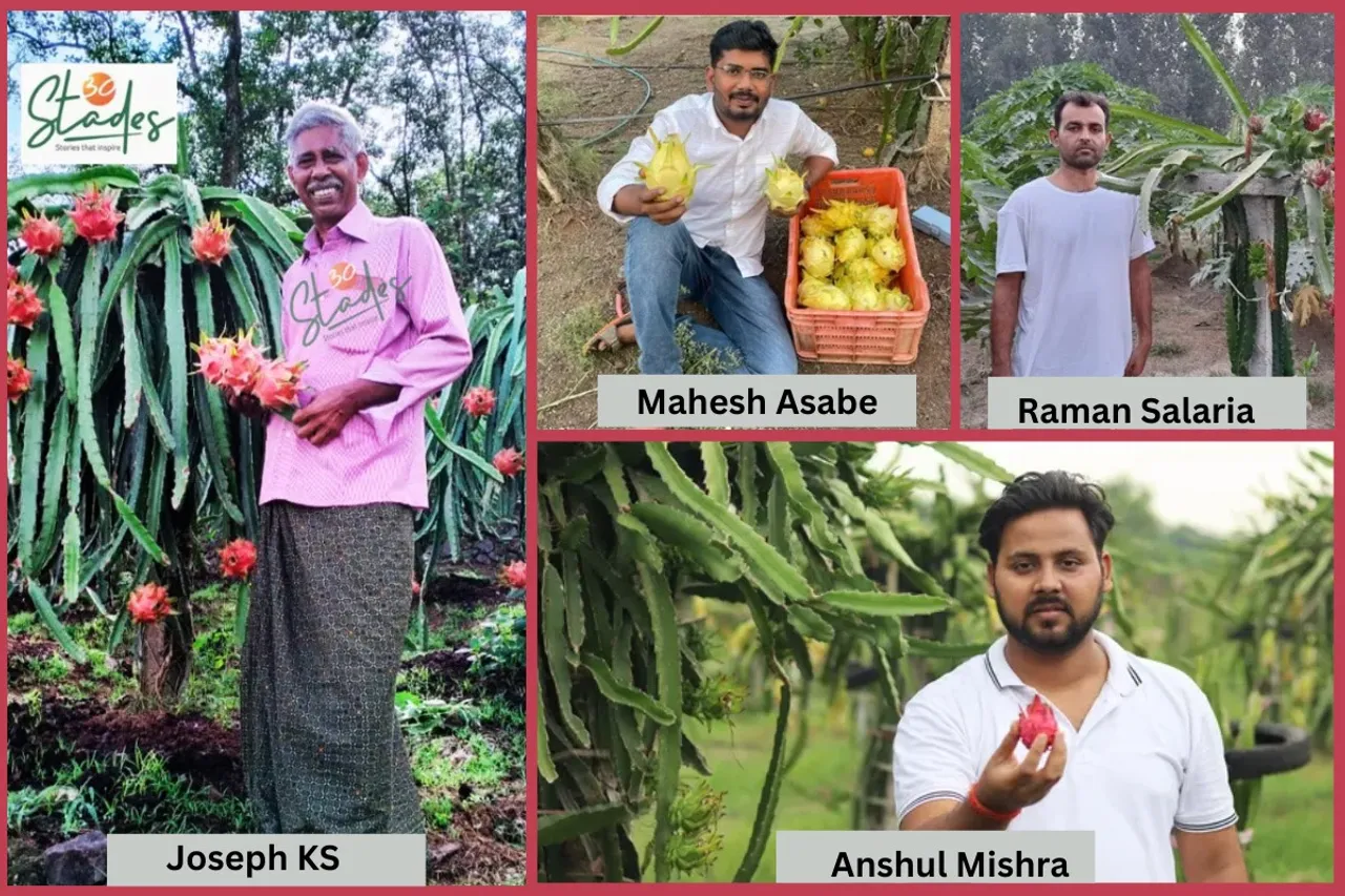 four-dragon-fruit-farmers-30stades