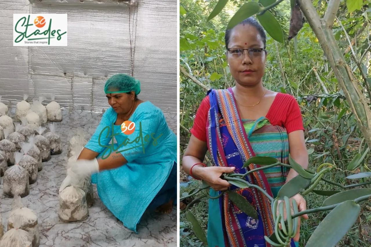 newsletter-nov9-2025-30stades