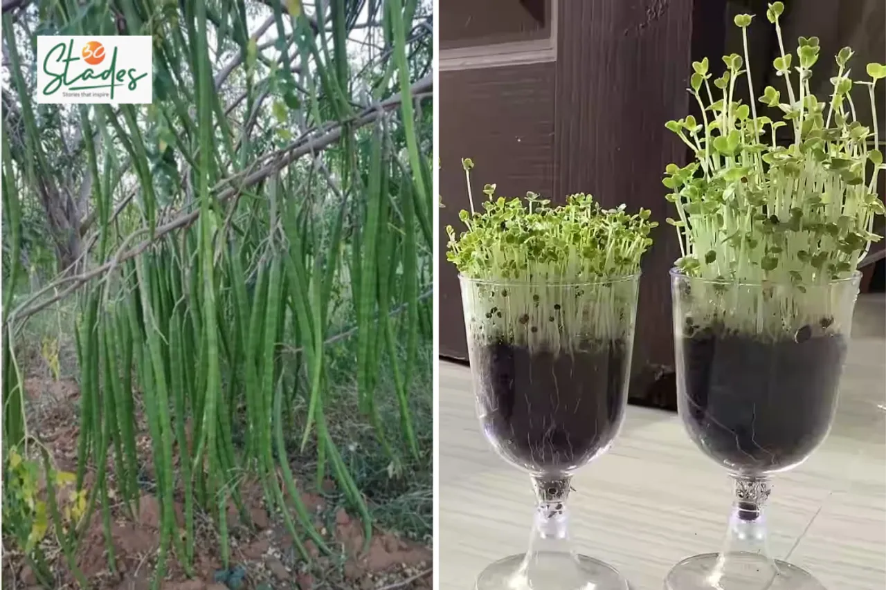 Newsletter-Nov-16-2025