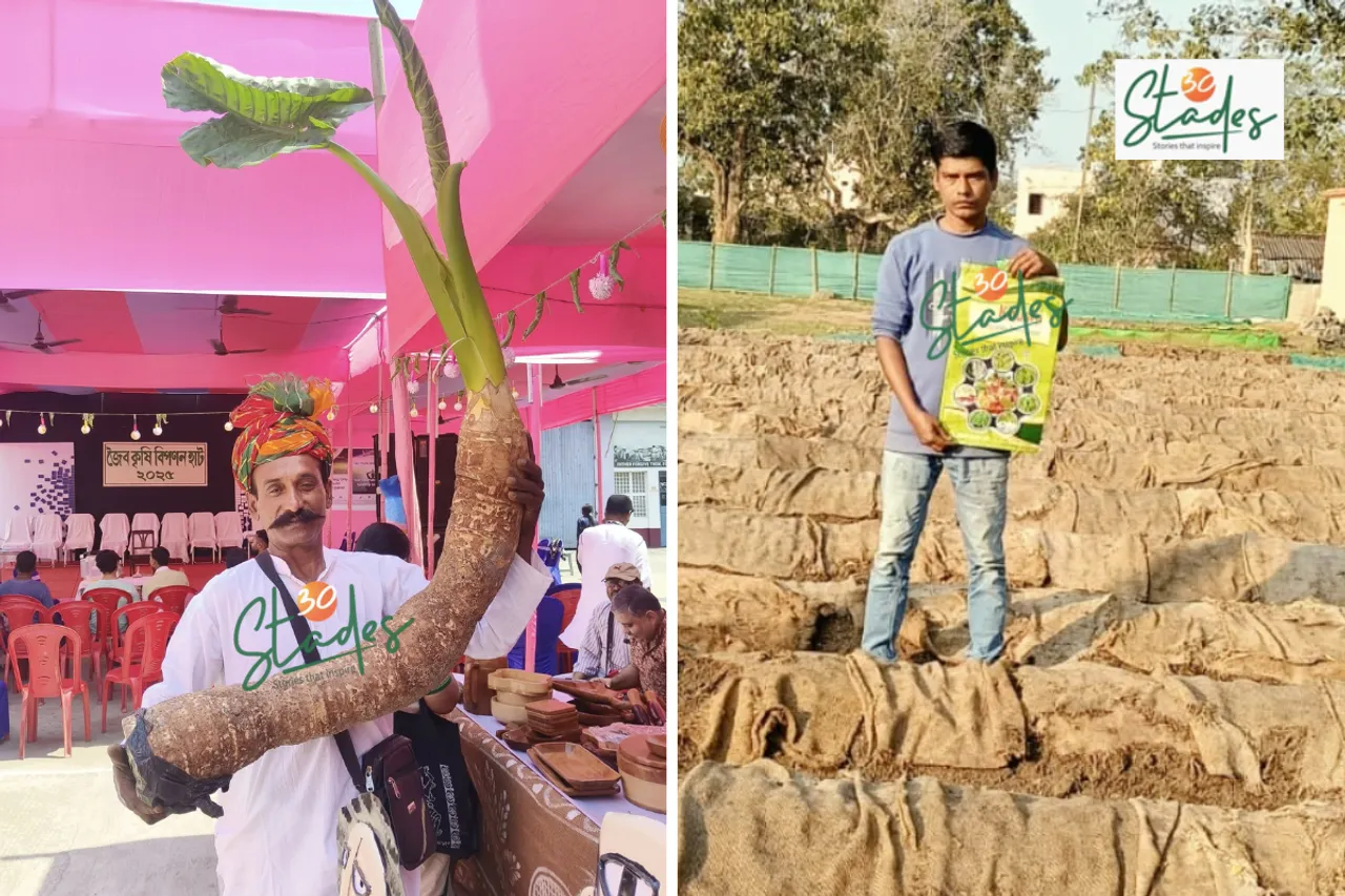 newsletter-nov23-2025