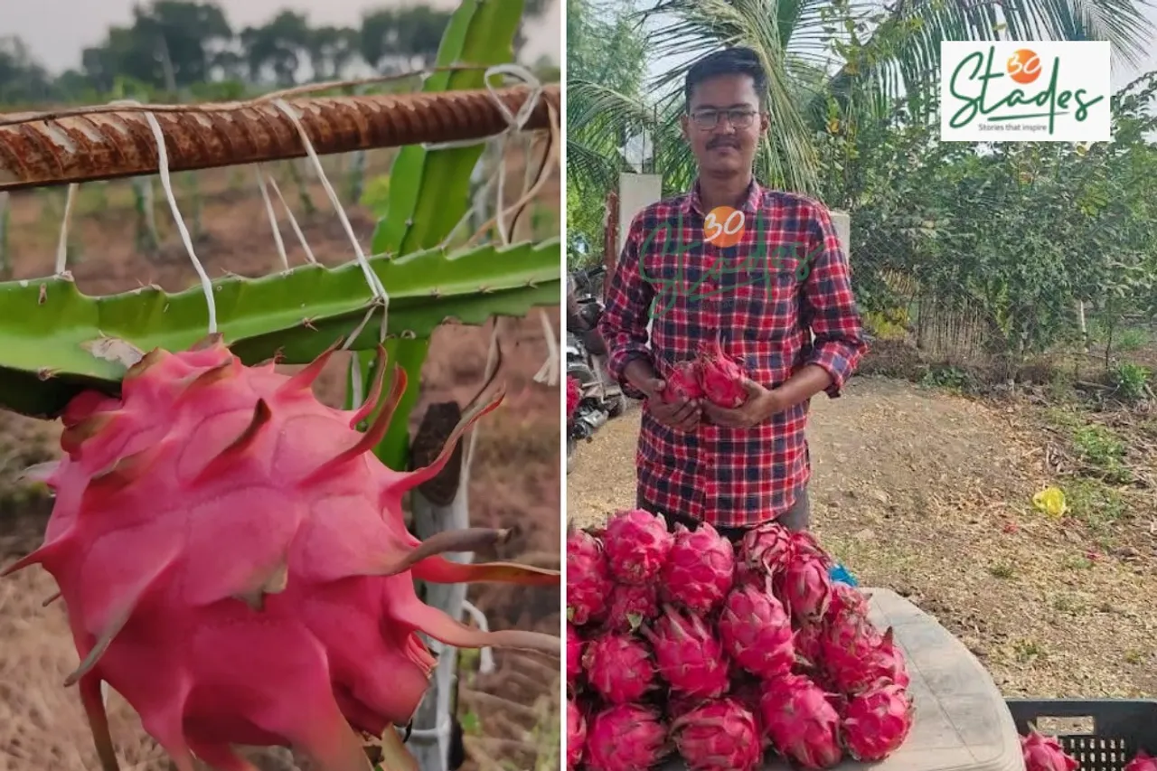 prasad-ramchawre-dragon-fruit-lead-30stades