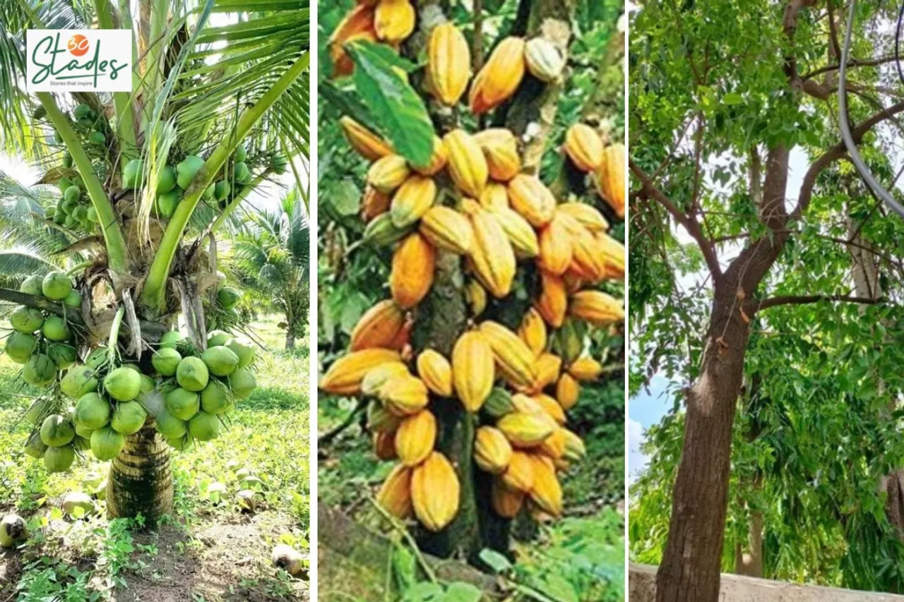 budget-2026-coconut-sandalwood-30stades