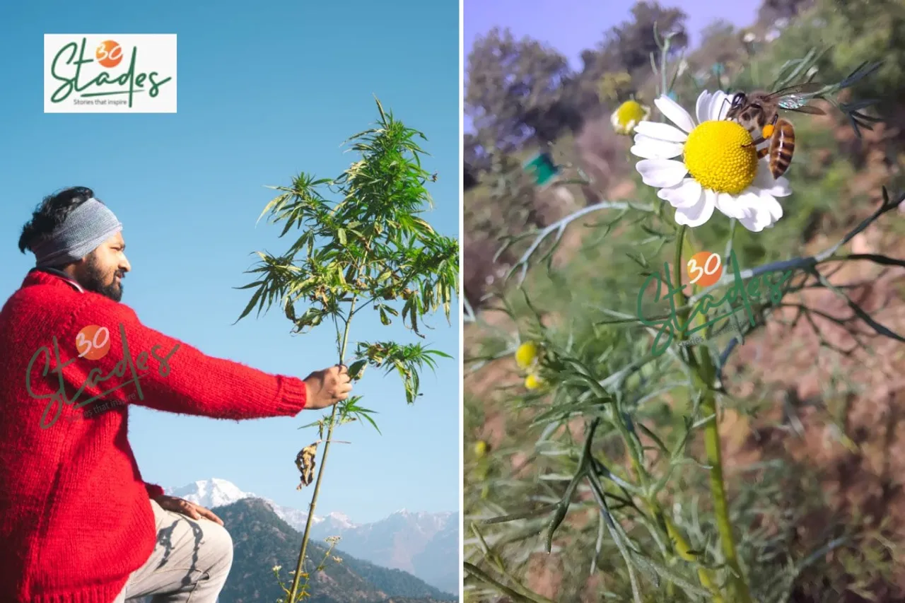 newsletter-feb22-2026-30stades