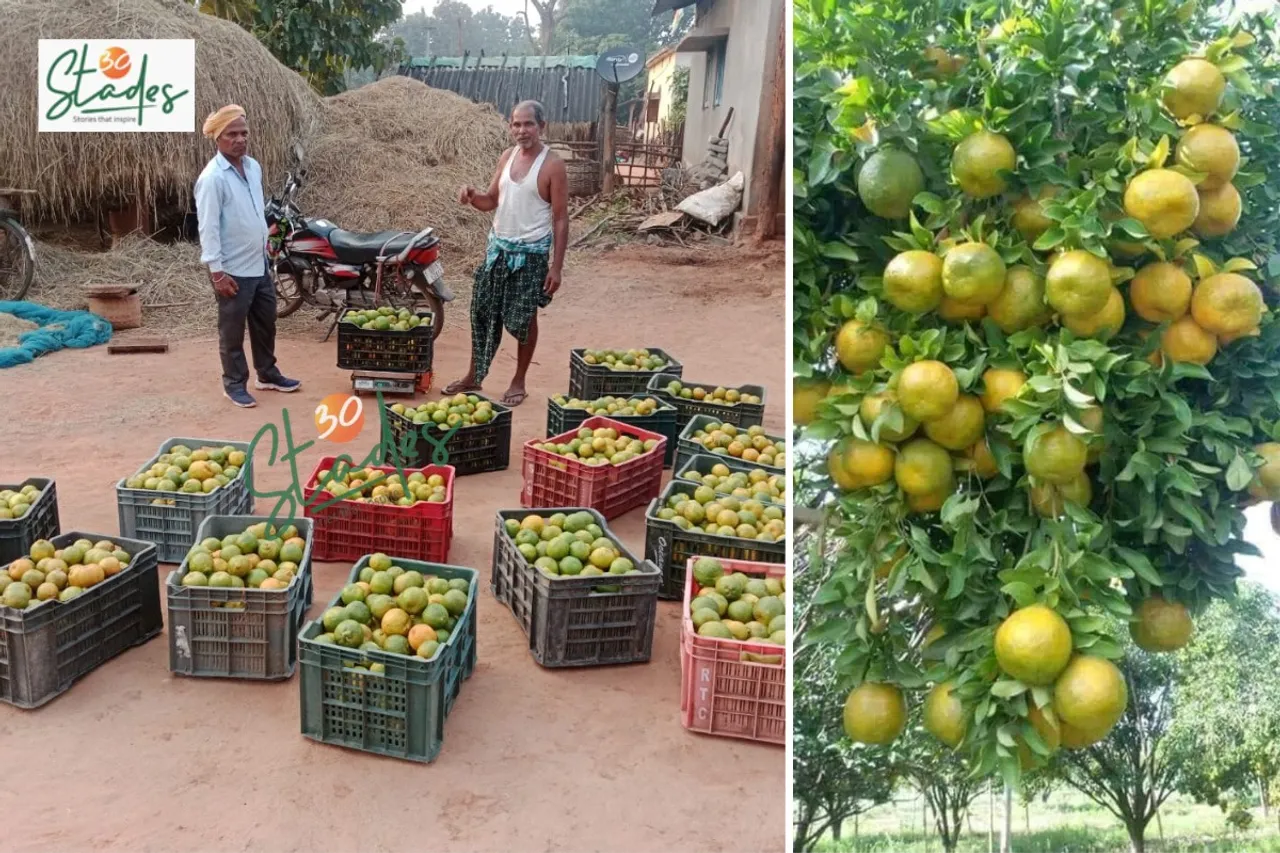 orange-farming-deogarh-lead-30stades