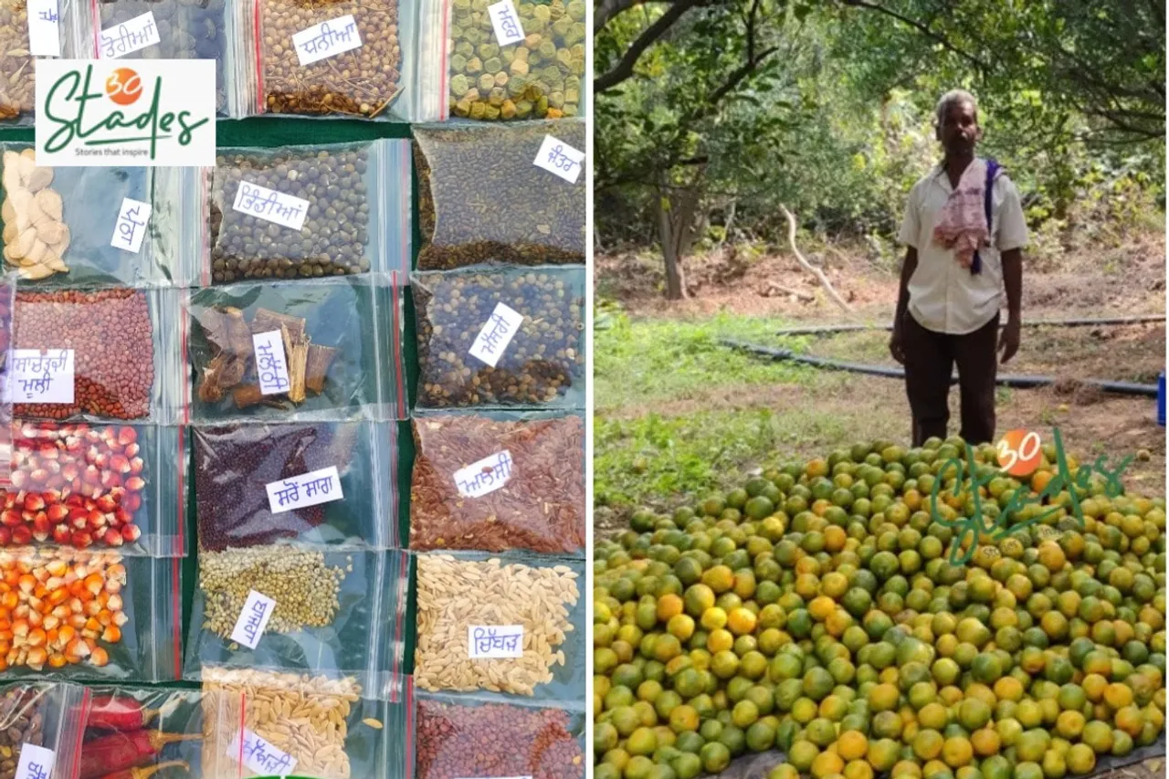 newsletter-march1-2026-30stades