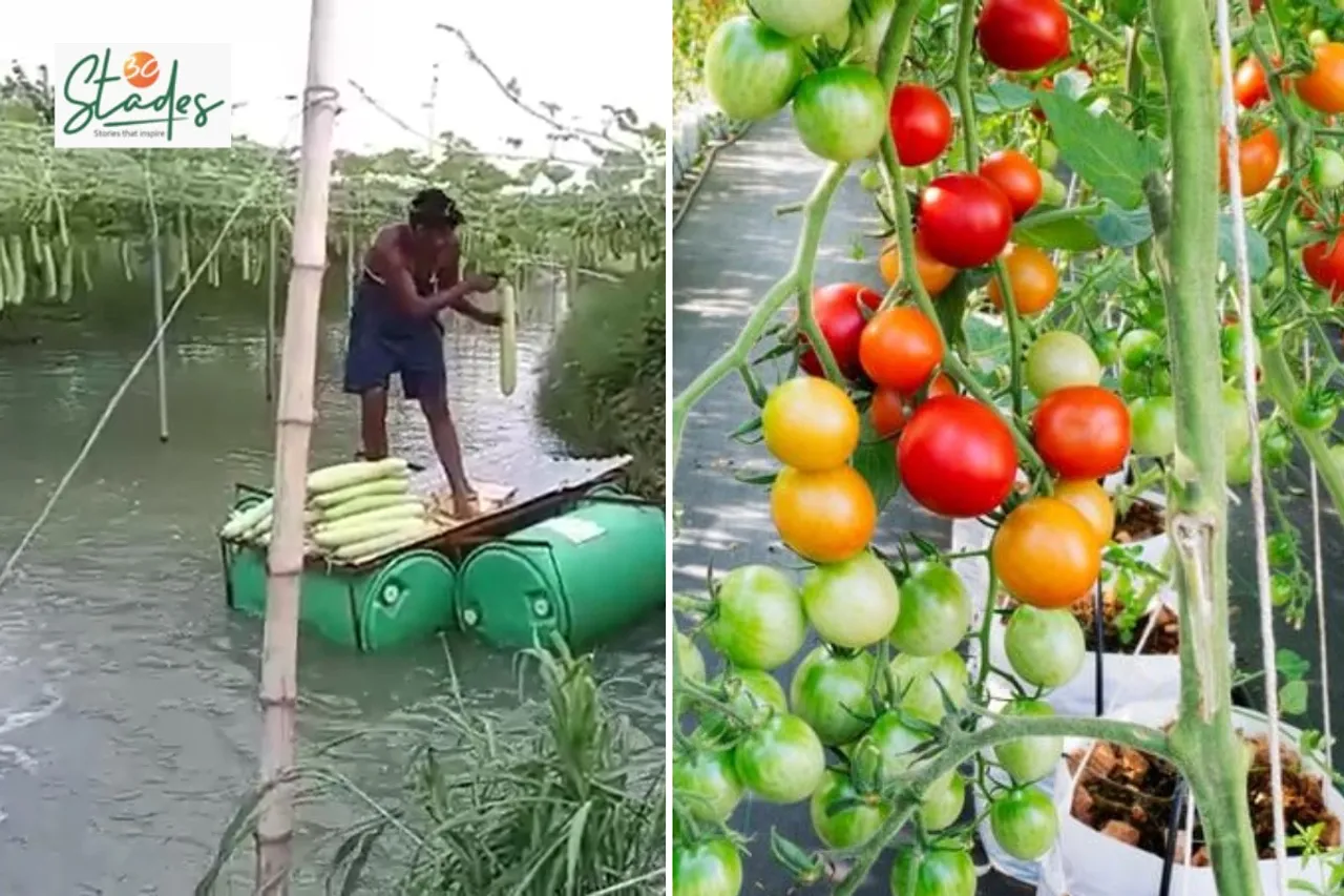 newsletter-march8-2026-30stades