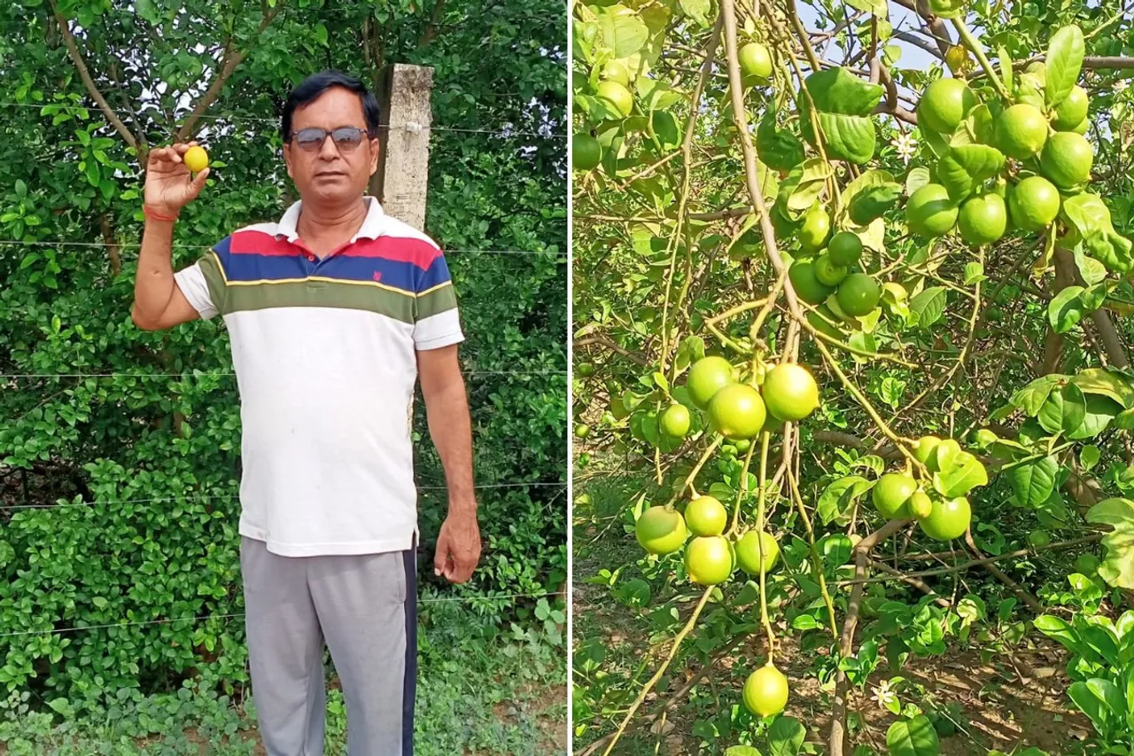 Anand Mishra on his farm in Raebareli, Uttar Pradesh