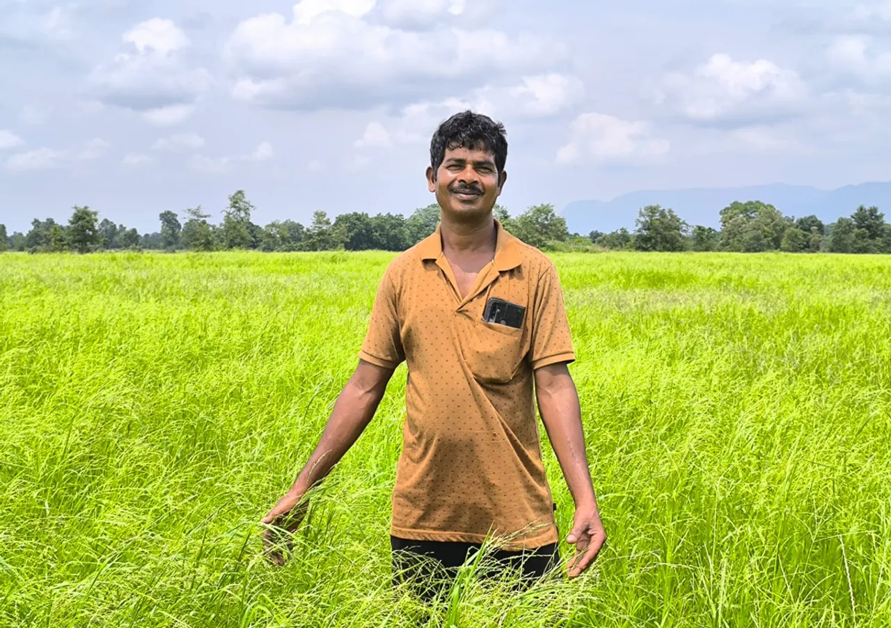 Farmers in Odisha’s tribal-dominated districts bet big on little millets