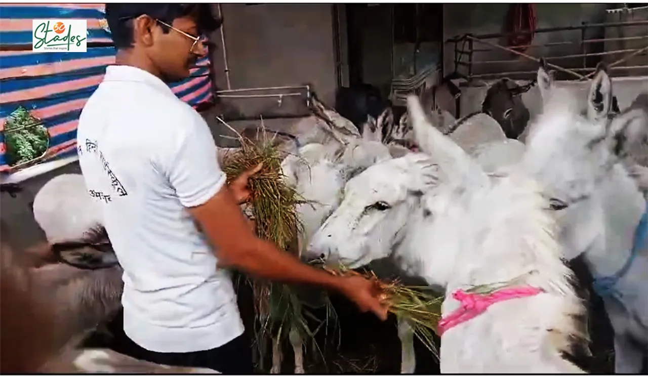 Dhiren Solanki at his TDS Donkey Farm in Manund village, Patan, Gujarat