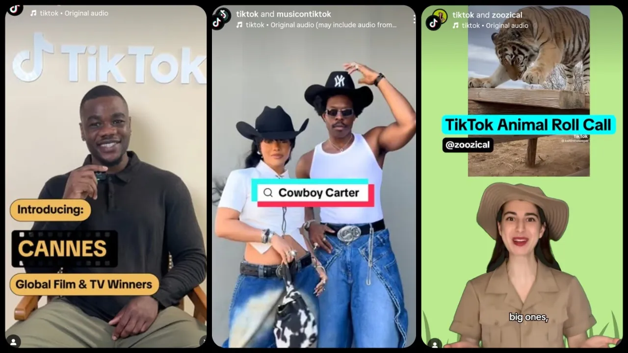 The Chinese video-sharing app, TikTok
