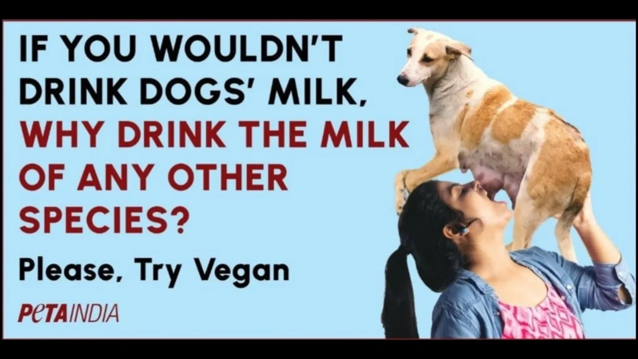 PETA’s dog milk OOH