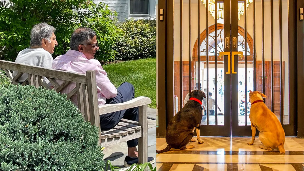 RatanTata_dogs