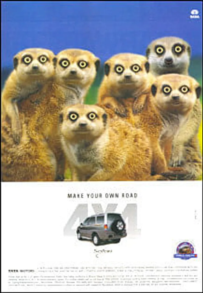 Make your own road