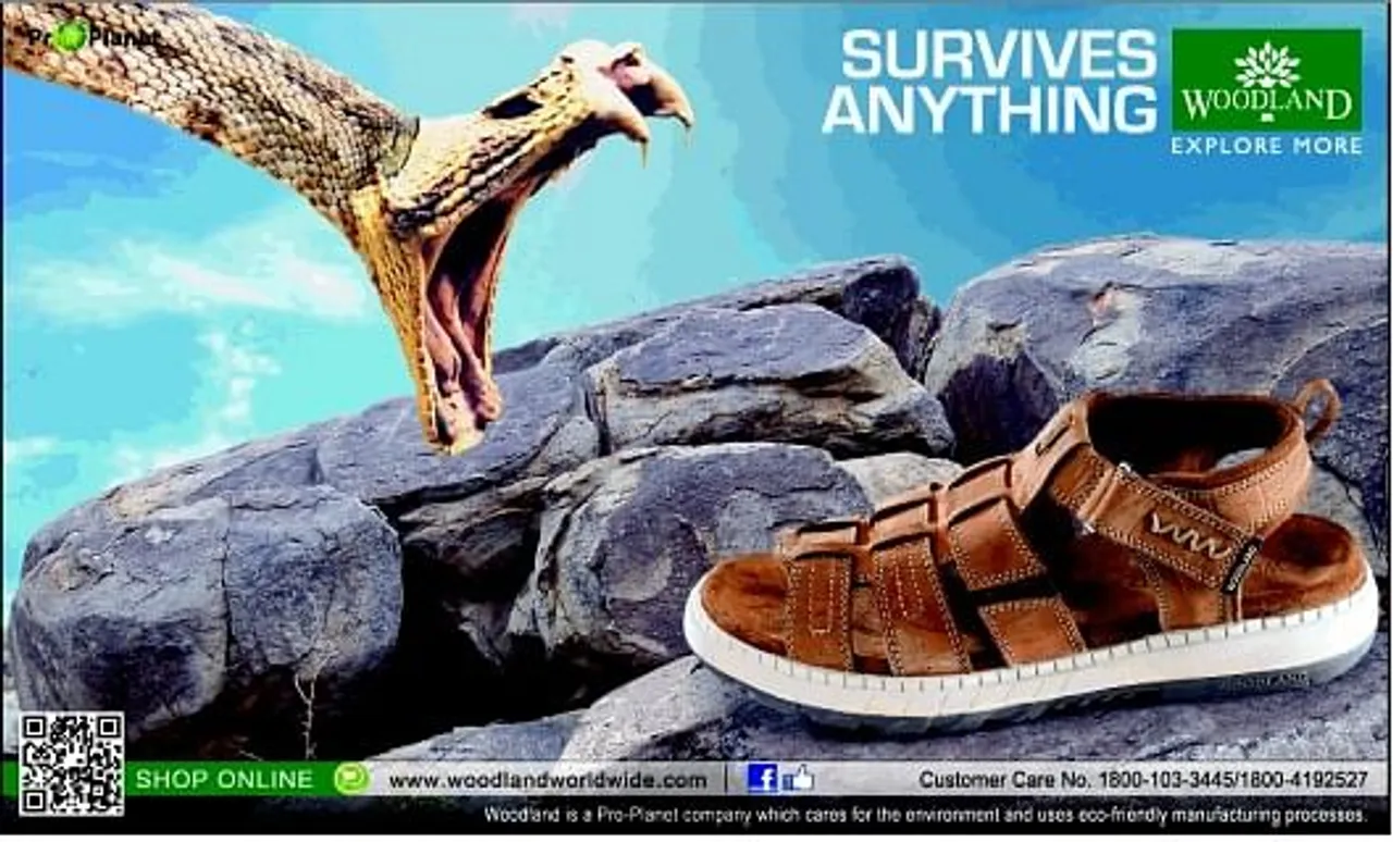 Survives Anything