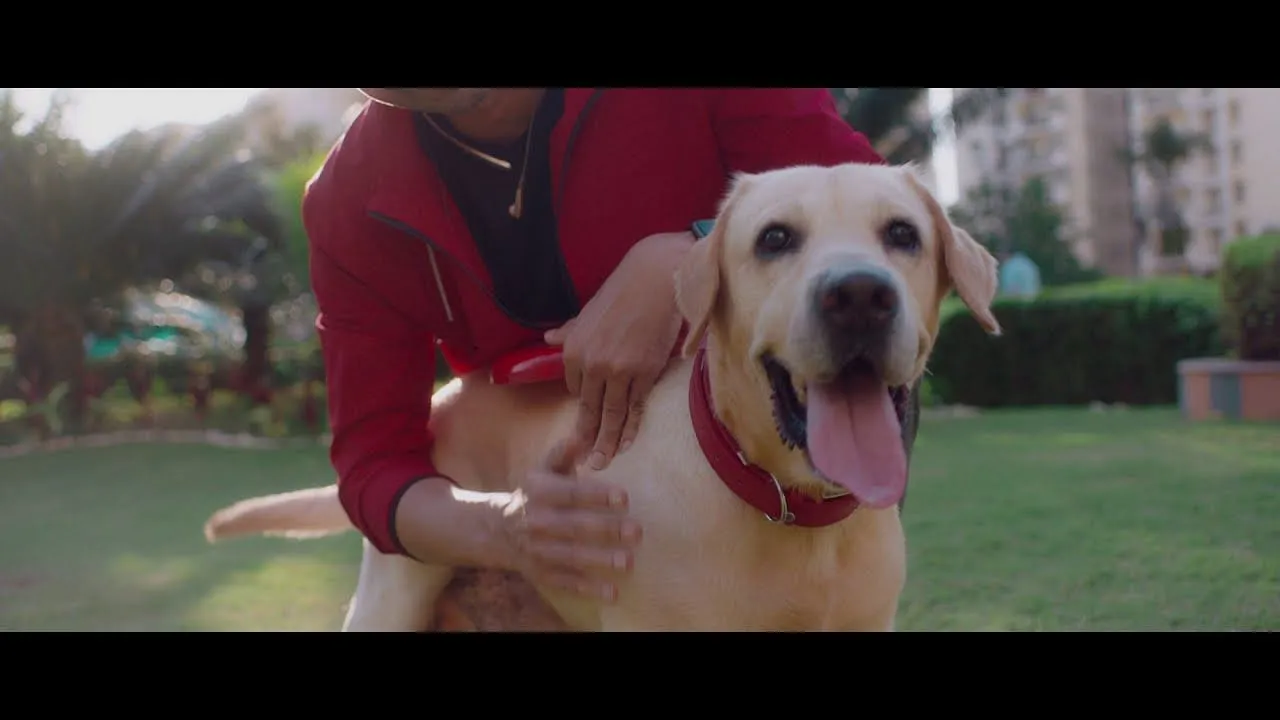 Purina launches its first India-specific TVC Campaign for Brand Supercoat