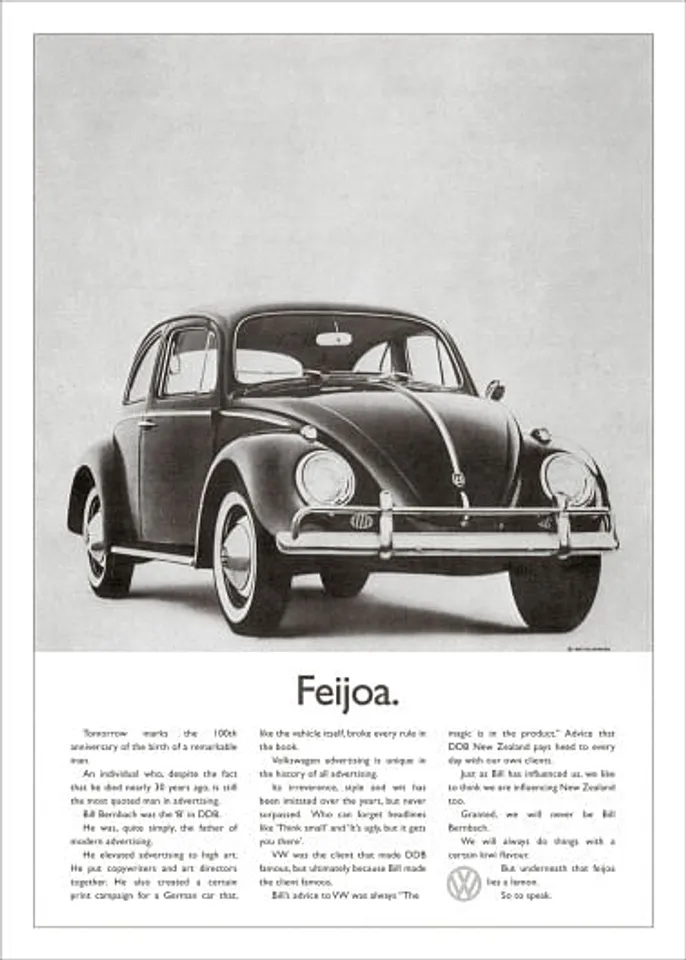 Feijoa