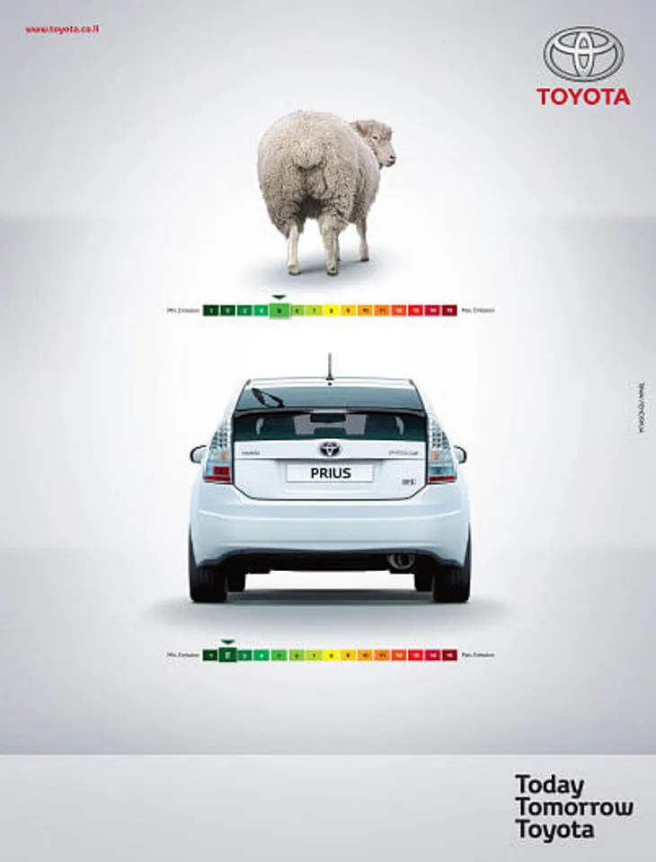 Sheep vs Prius