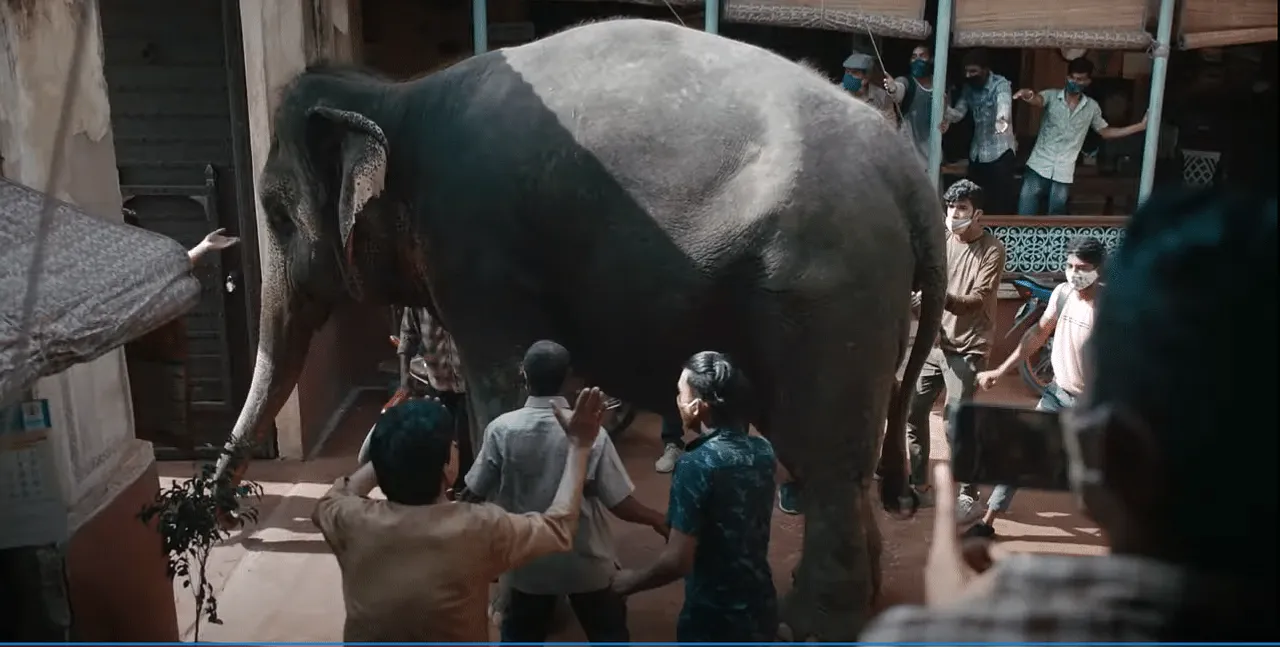 Fogg’s new TVC seeks to address the 'elephant' in the room 