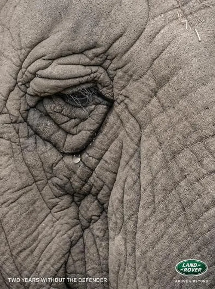 Elephant