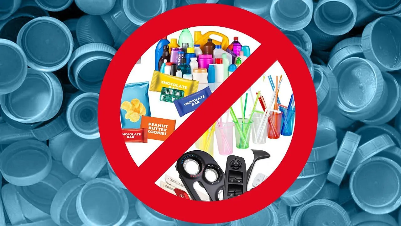 The single-use plastic ban will choke which industry?