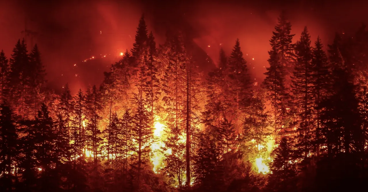WWF's ad film references a different kind of pandemic