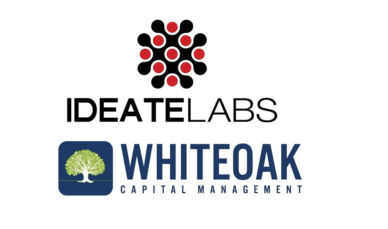 IdeateLabs bags the digital marketing mandate for White Oak Capital Management