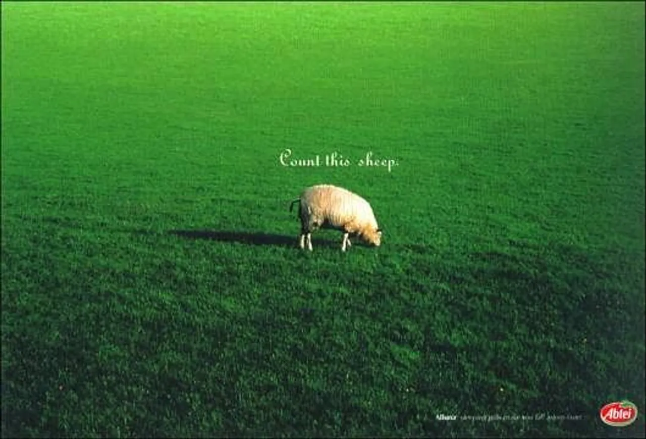 Sheep
