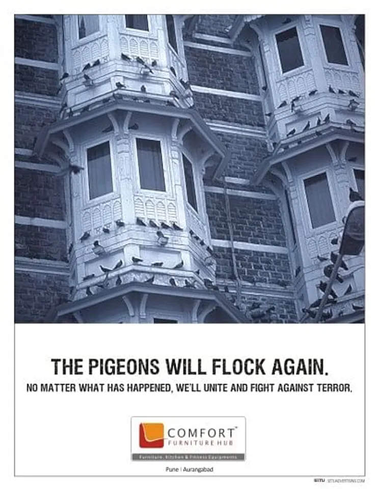 The Pigeons