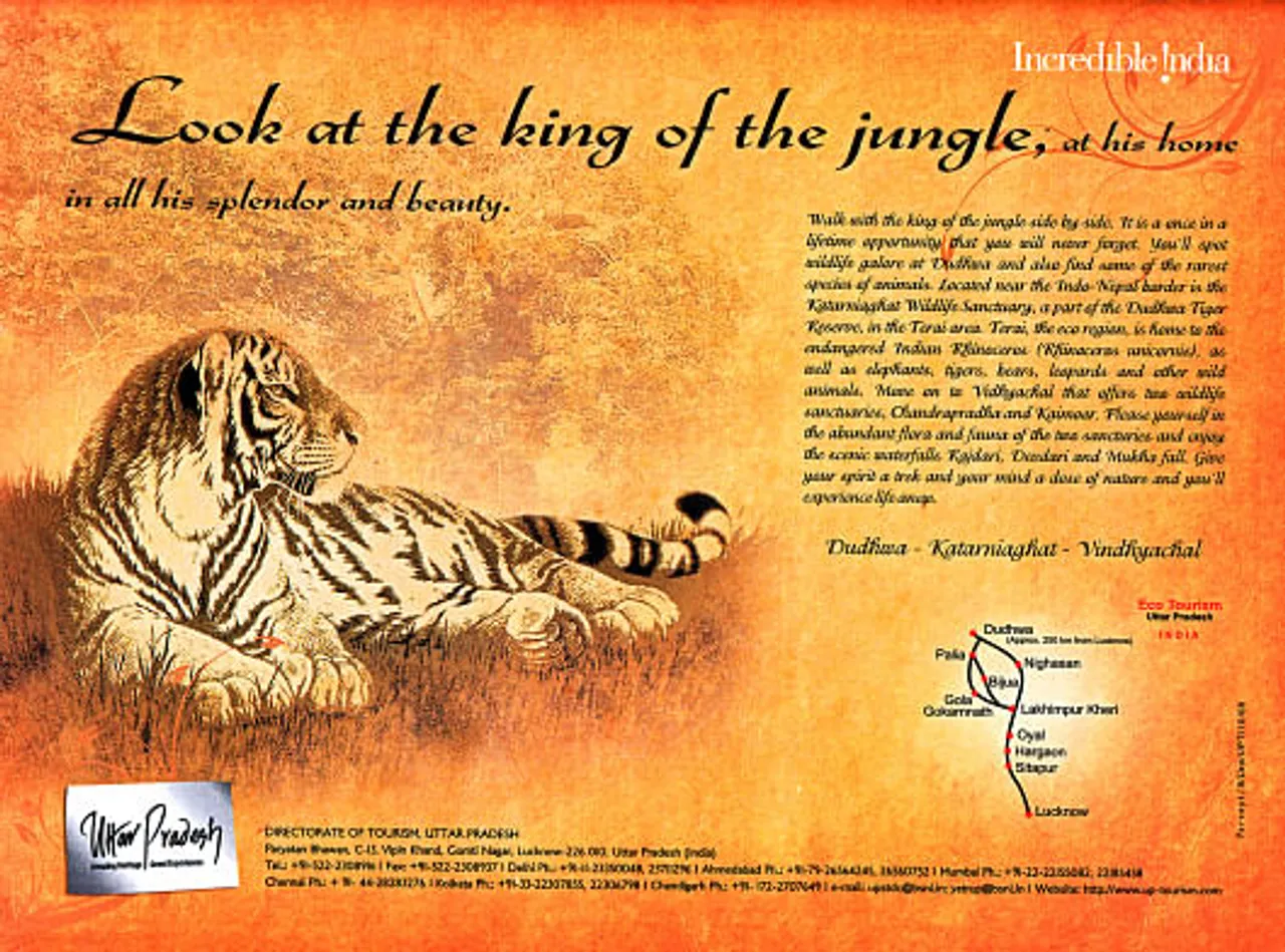 King of the Jungle