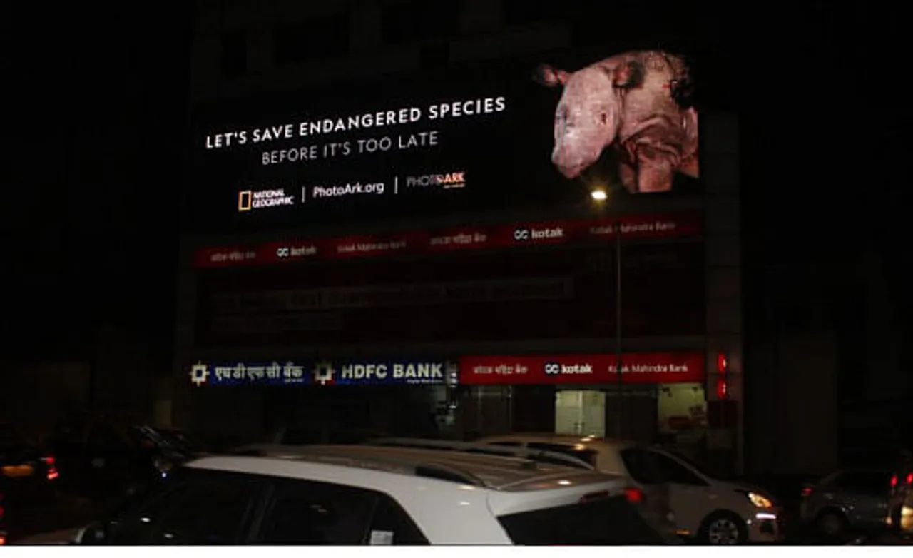 Let's save endangered species - 2