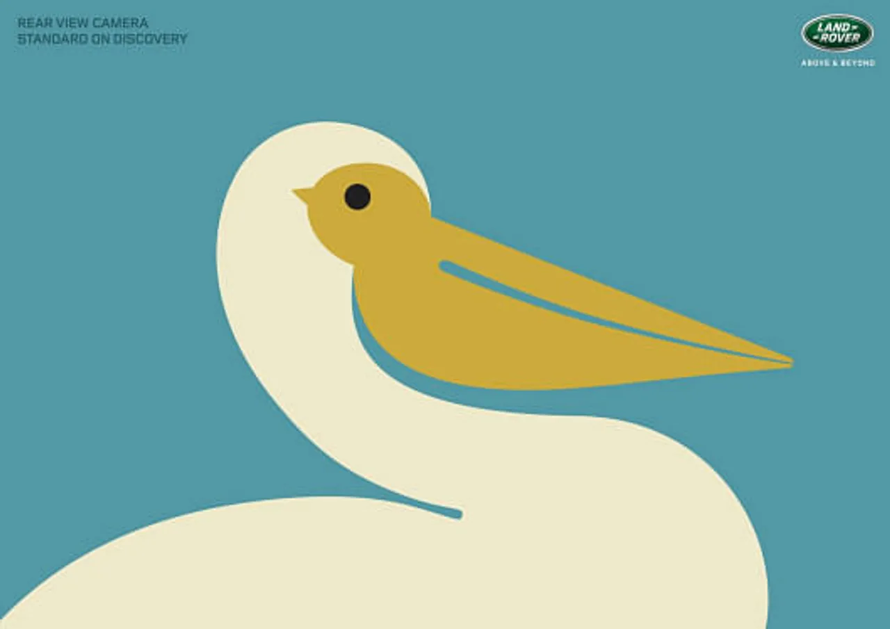 Pelican-Canary