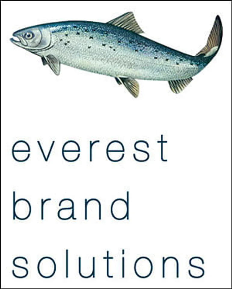 DS Group appoints Everest Brand Solutions for Catch spices