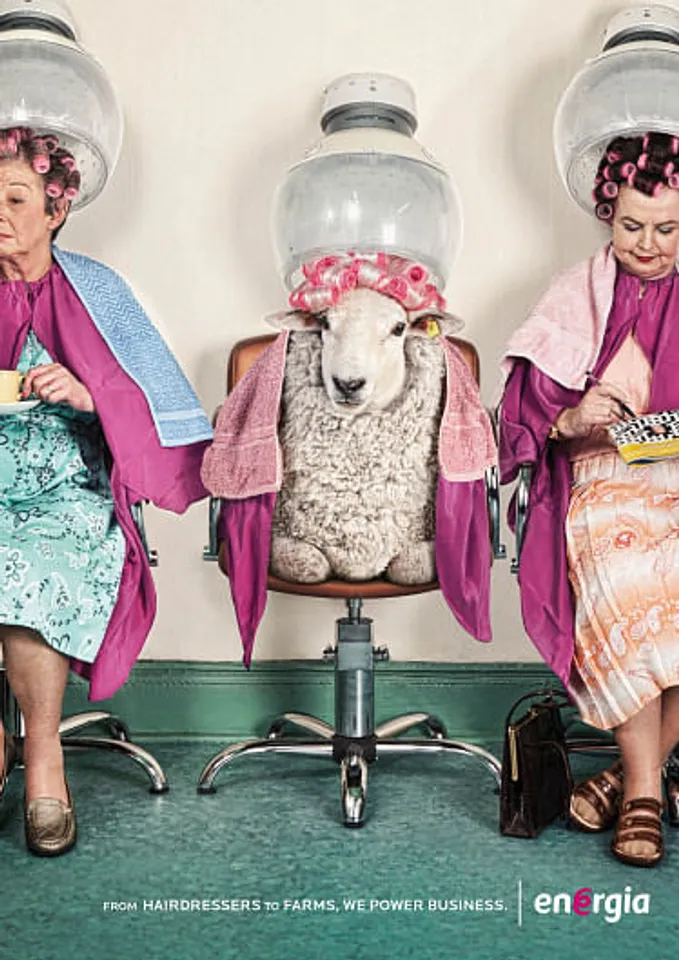 From Hairdressers to Farms