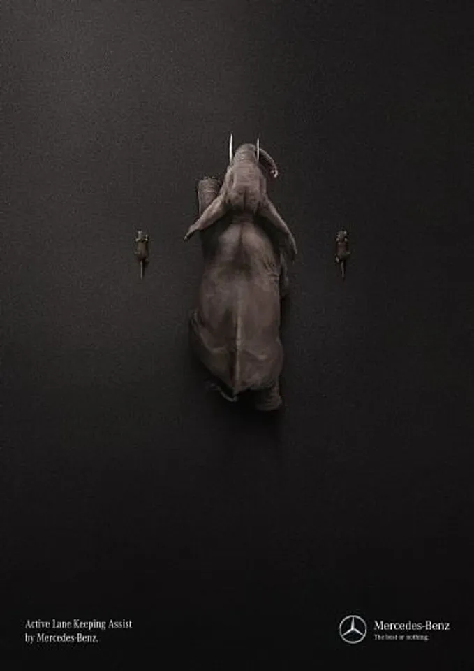 Elephant