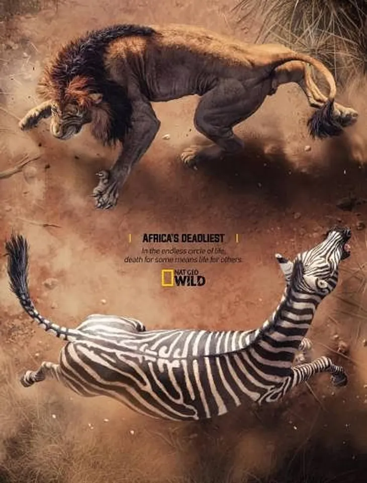Africa's Deadliest - Lion X Zebra Campaign