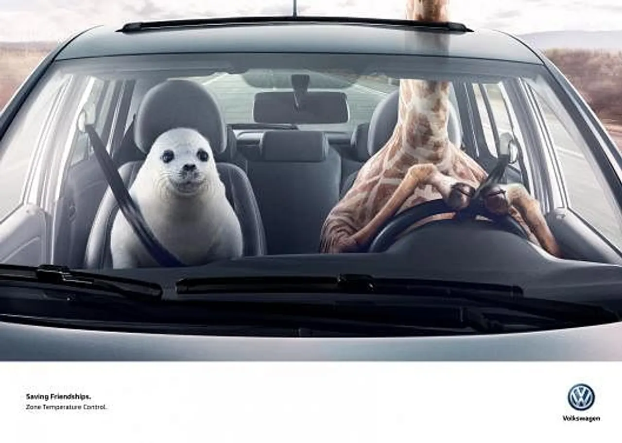 Giraffe & Seal