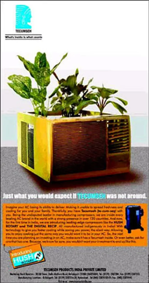 Just what you would expect if Tecumseh was not around.