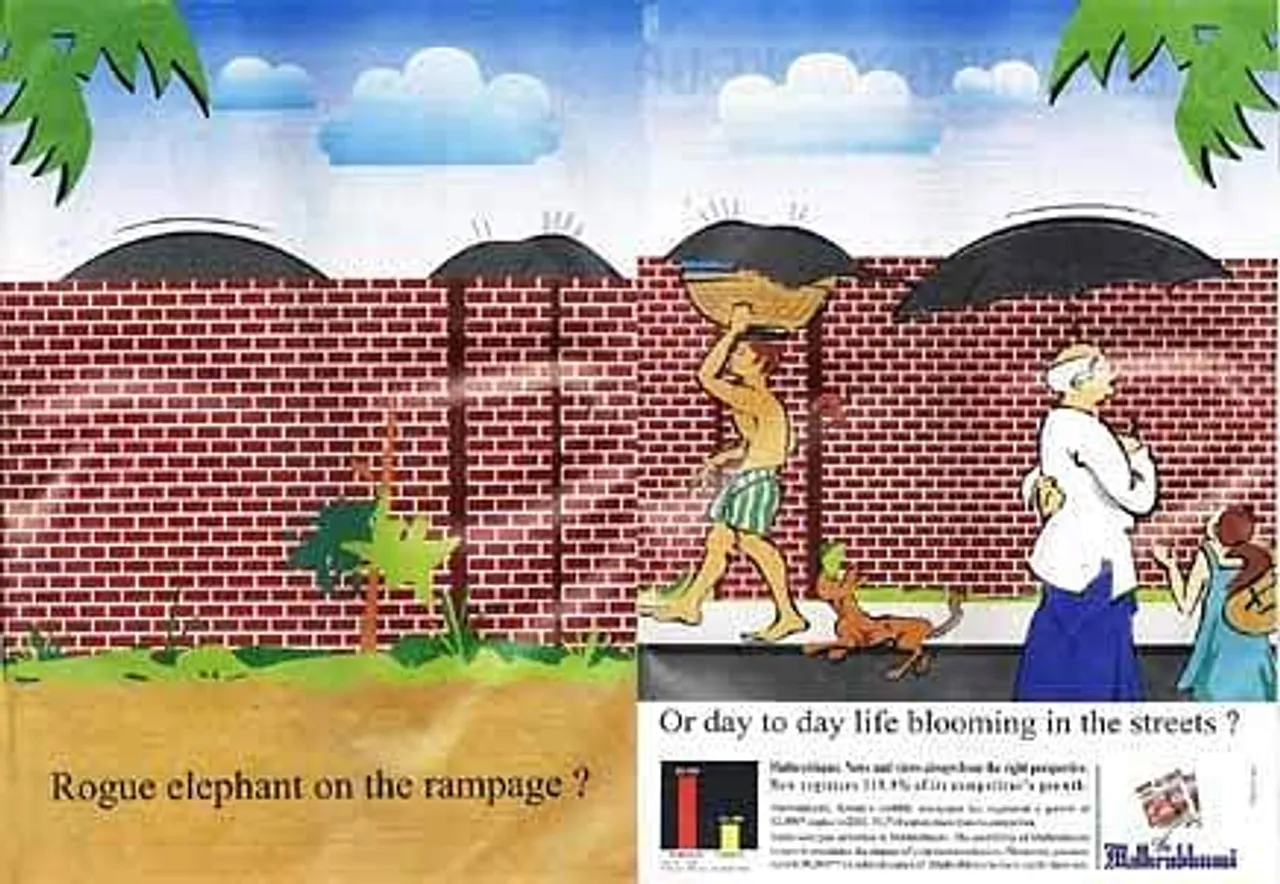 Rogue elephant on the rampage? Or day to day life blooming in the streets?