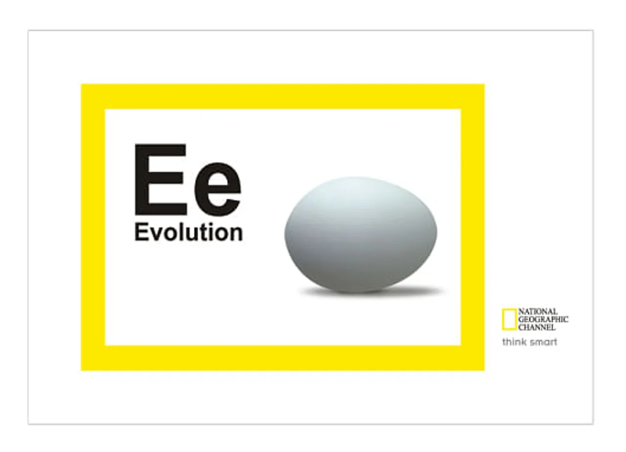 Egg