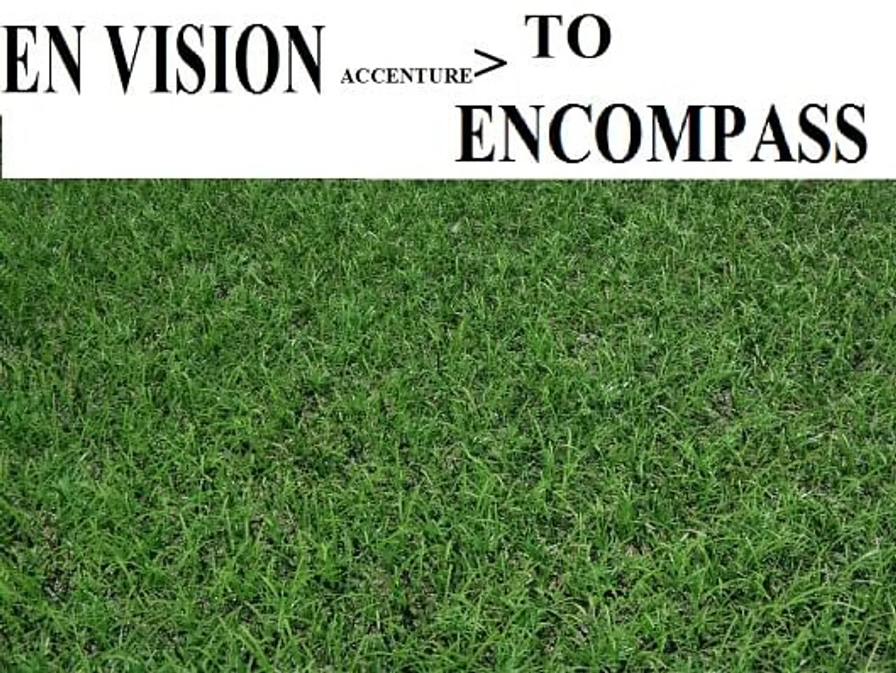 Grass