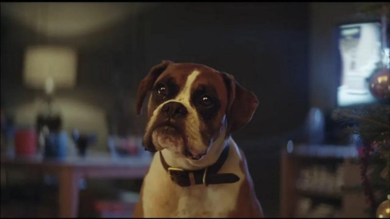 Viral Now: #BusterTheBoxer steals the show in John Lewis' Christmas TV spot