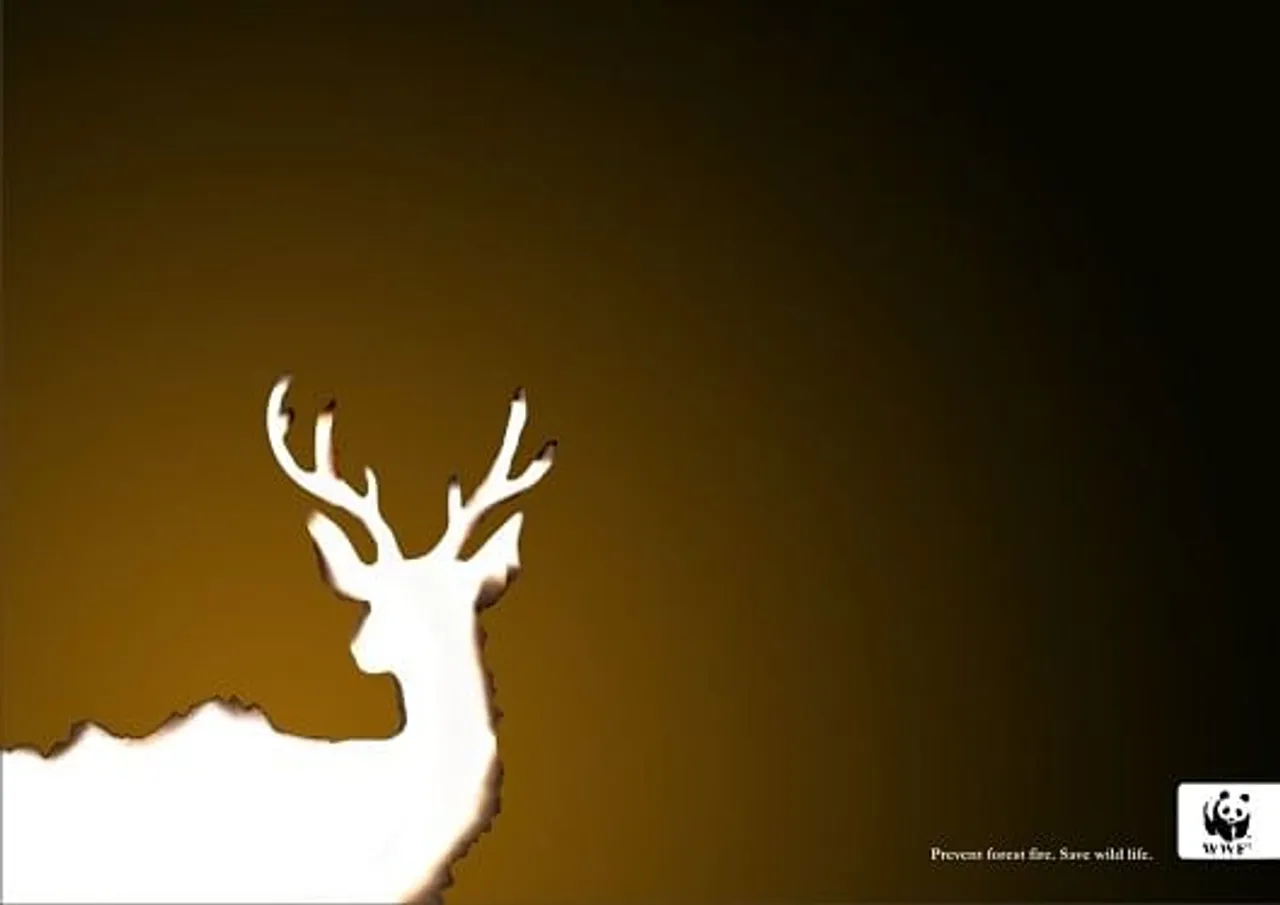 Prevent forest fire