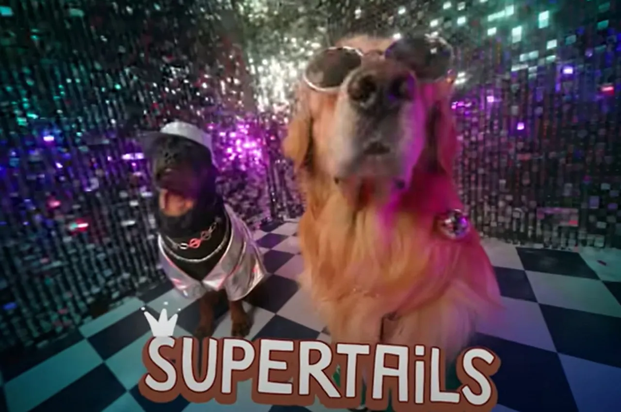 Supertails drops catchy rap video as prelude to Annual Swag Sale
