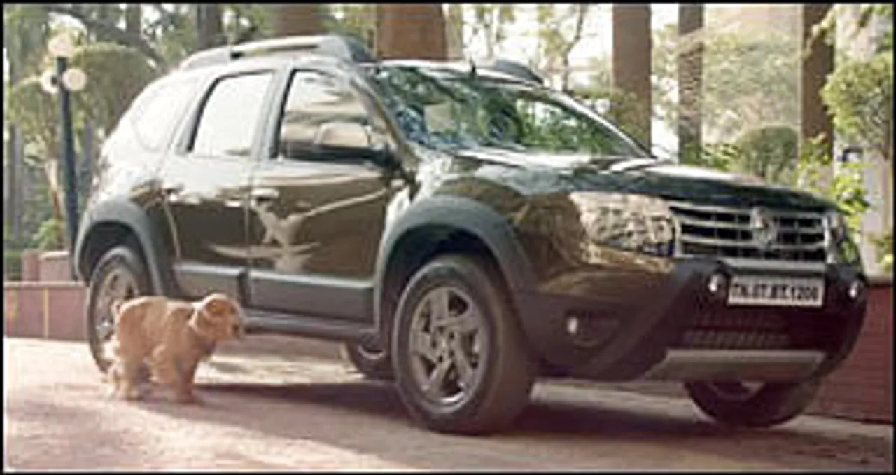 Even Dogs Know It's A Duster!