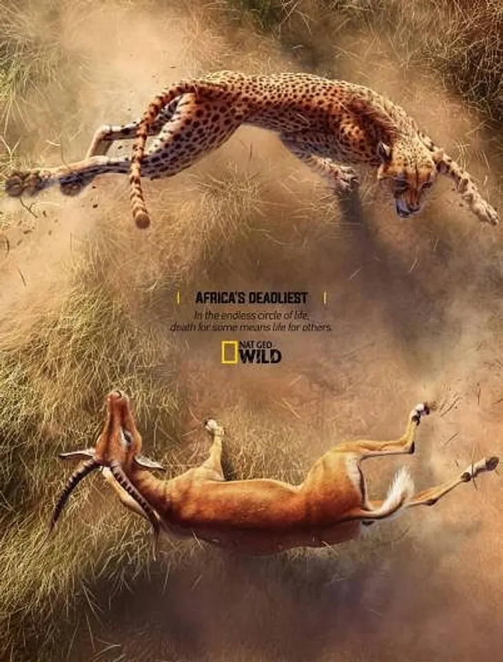 Africa's Deadliest - Cheetah X Impala 