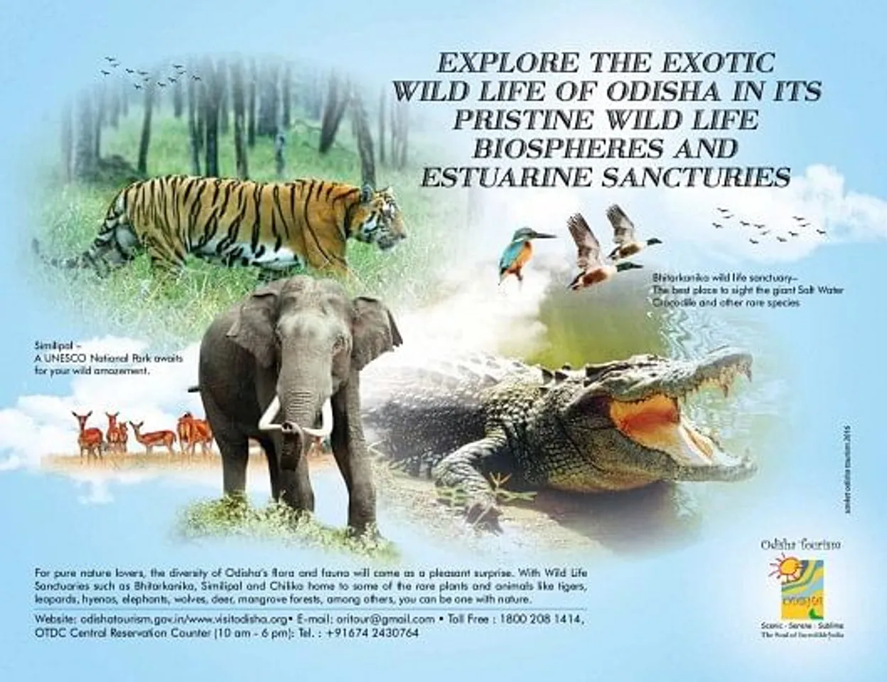 Explore the exotic wildlife