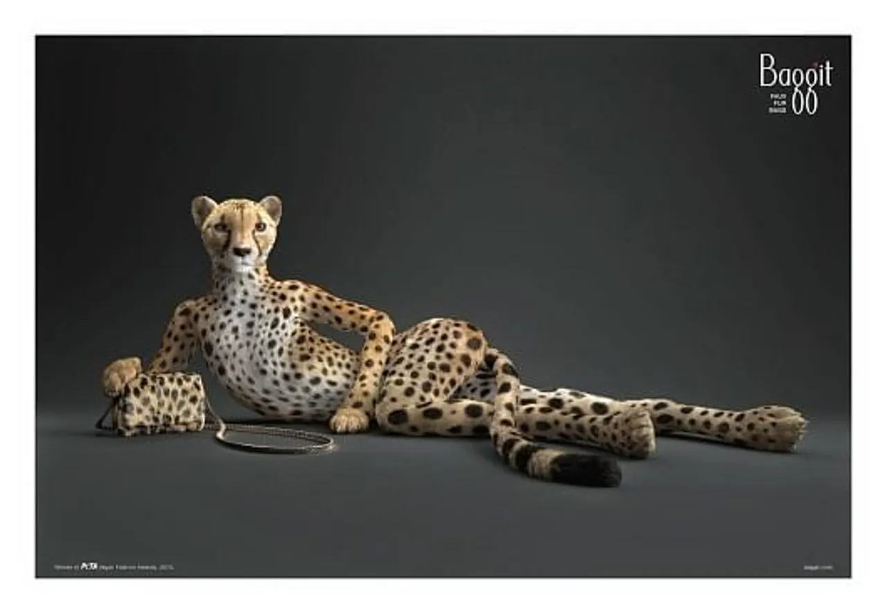 Cheetah