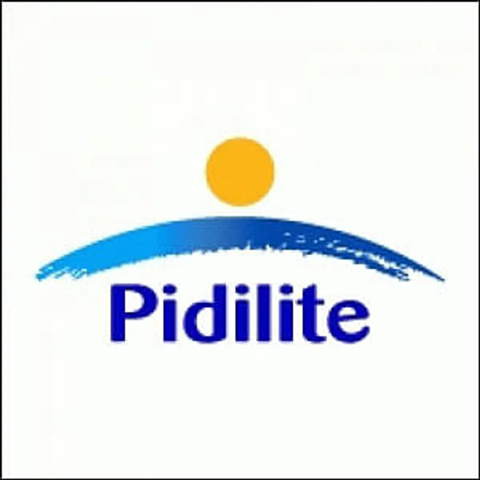 Pidilite wins favourable judgement in infringement case